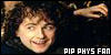  1 Pippin physical