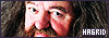  Characters: Hagrid