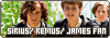  relationships: Sirius, Remus & James