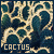  Nature: Cactus