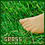  Nature: Grass