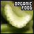  Organic Food