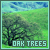  Nature: Oak trees