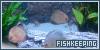  (1) Fishkeeping fl