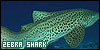  Zabra sharks