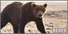 Bears