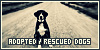  Adopted and rescued dogs