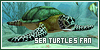  (1) Sea turtles