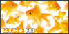  (1) Goldfish fl