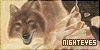 Hobb: Nighteyes
