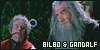 LOTR: Bilbo & Gandalf