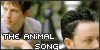  Savage Garden : The Animal Song: 