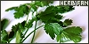 Plants: Herbs: 