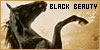  Books: Black Beauty by Ann Sewell: 