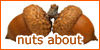  Nuts: 