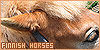  Equines: Horses: Suomenhevonen (the Finnish horse): 