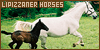  Equines: Horses: Lipizzaners: 