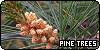  Trees: Pine eli m?nty: 