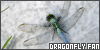  Dragonfly: 
