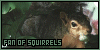  Squirrels: 