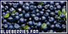  Blueberries eli mustikat: 