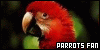  Birds: Parrots: 