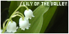  Flowers: Lily of the valley aka kielo: 