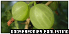 Gooseberries aka karviaiset: 