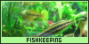  Fishkeeping: 