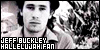  Jeff Buckley: Hallelujah: 