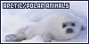  Arctic/Polar animals: 