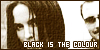  The Corrs: Black Is The Colour: 