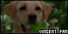  LOST: Vincent: 