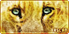  not a tame lion: the Aslan fl