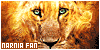  4: Live in Two Worlds: the Narnia books fl