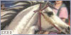  Faraway lands: the Bree fanlisting