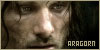  Aragorn