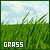  Grass