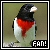  (1) Rose-Breasted Grosbeak