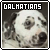  Dalmatians
