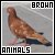  Brown animals