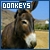  Donkeys