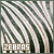  Zebras