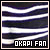  Okapis