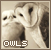  (1) Owls